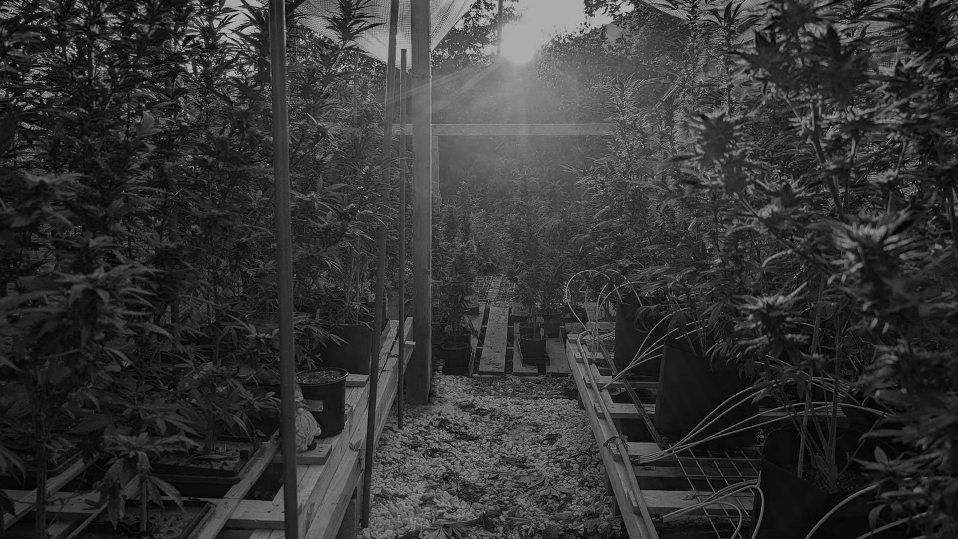 DW_Home_GardenBK3